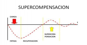 supercompensacion
